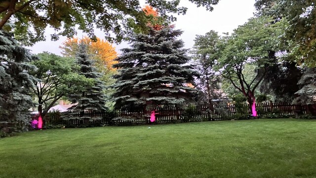 2551 Doncaster Dr, Aurora, IL 60504 - view of yard