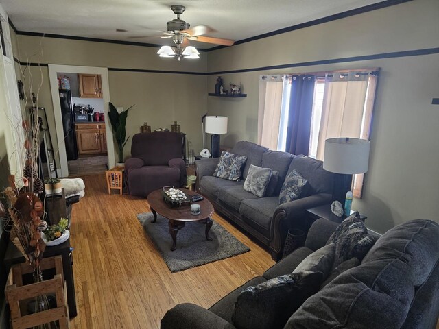6101/2 W 7th St, Sterling, IL 61081 - living area featuring a ceiling fan, light wood-style flooring, and ornamental molding