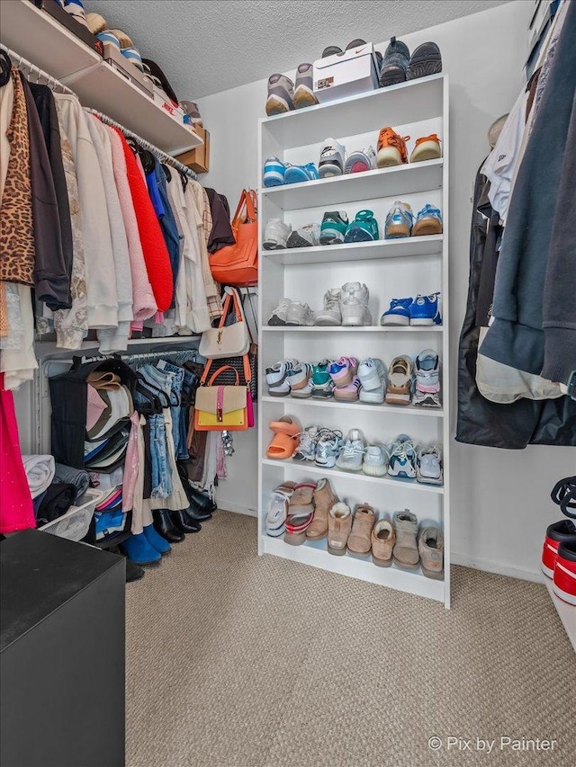 405 N Wabash Ave Unit 2314, Chicago, IL 60611 - walk in closet with carpet