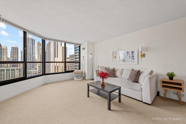 405 N Wabash Ave Unit 2314, Chicago, IL 60611 - living area featuring carpet floors, a view of skyline, and a textured ceiling