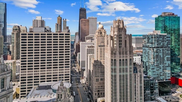 405 N Wabash Ave Unit 2314, Chicago, IL 60611 - skyline view