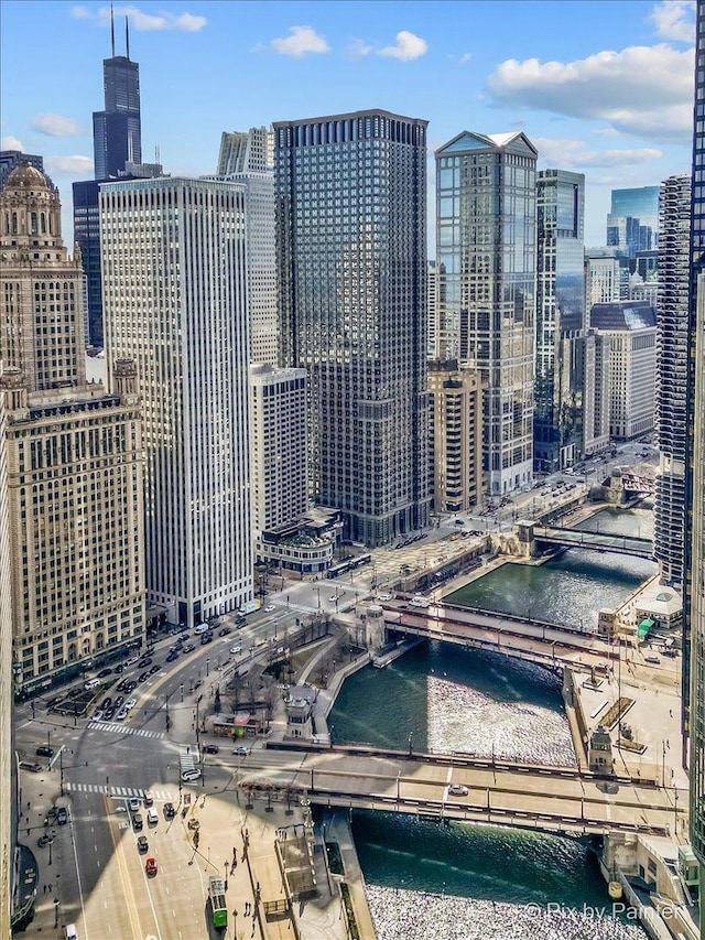 405 N Wabash Ave Unit 2314, Chicago, IL 60611 - skyline view featuring a notable bridge and a large body of water