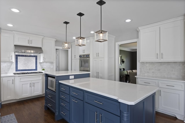 20707 N Swansway, Deer Park, IL 60010 - kitchen with stainless steel appliances, blue cabinets, a kitchen island, light countertops, and recessed lighting