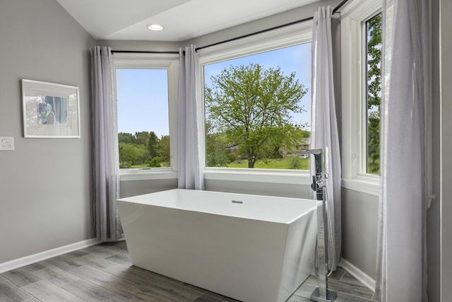 20707 N Swansway, Deer Park, IL 60010 - full bath with baseboards, a freestanding tub, wood finished floors, and recessed lighting