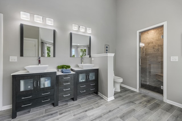 20707 N Swansway, Deer Park, IL 60010 - bathroom featuring a shower stall, wood finish floors, vanity, and toilet