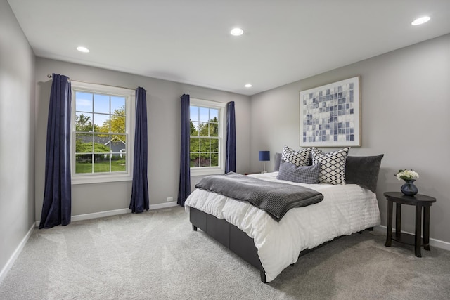 20707 N Swansway, Deer Park, IL 60010 - bedroom with carpet floors, baseboards, and recessed lighting