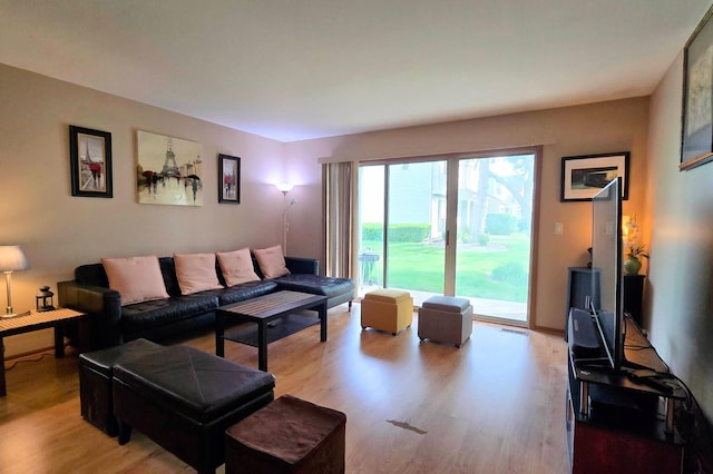 1338 Stratford Dr Unit 1338, Gurnee, IL 60031 - living area featuring light wood-type flooring