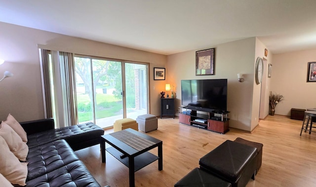 1338 Stratford Dr Unit 1338, Gurnee, IL 60031 - living area featuring light wood-style floors