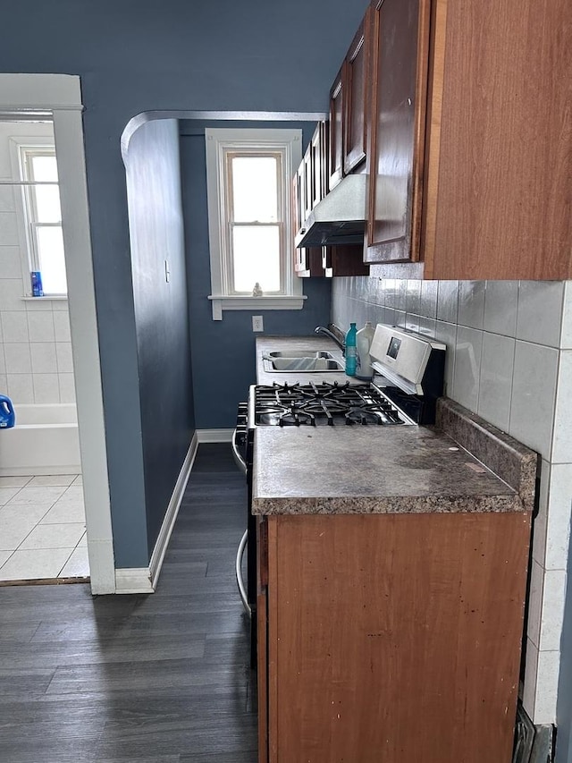 301 W 104th St, Chicago, IL 60628 - kitchen with a sink, plenty of natural light, baseboards, and dark wood-style floors