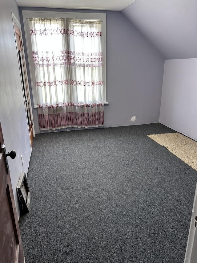 301 W 104th St, Chicago, IL 60628 - bonus room with carpet floors and lofted ceiling