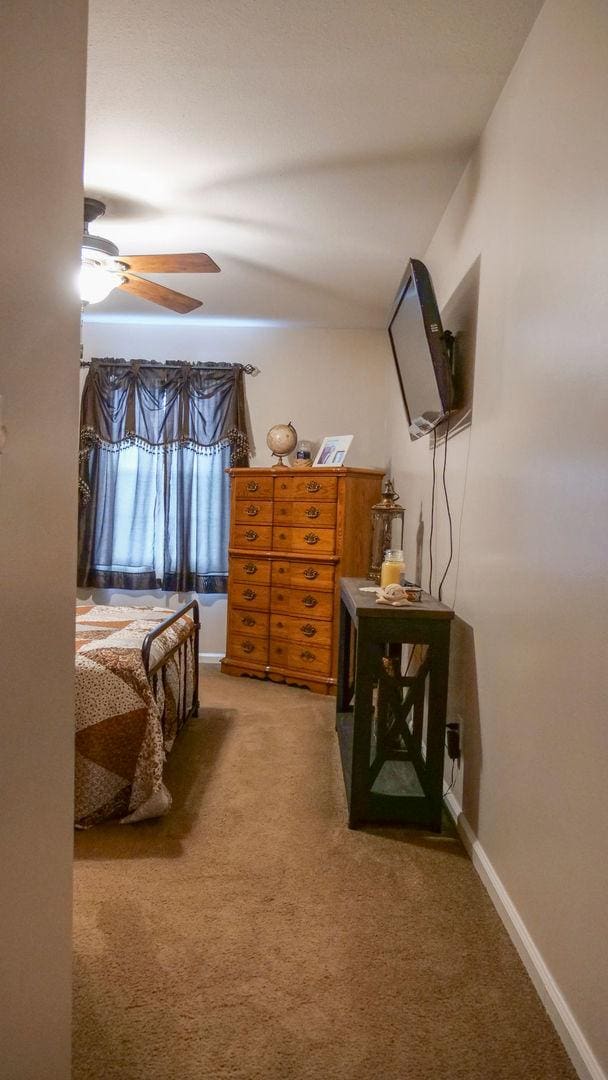 29 N Deer Lk N, Villa Grove, IL 61956 - bedroom with carpet, ceiling fan, and baseboards