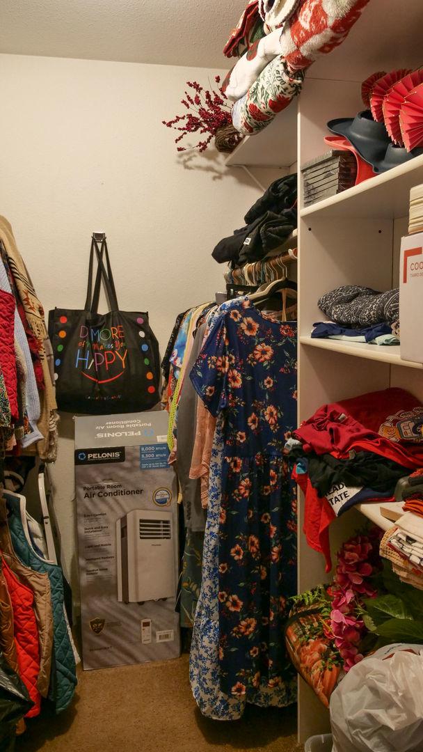 29 N Deer Lk N, Villa Grove, IL 61956 - spacious closet with carpet floors