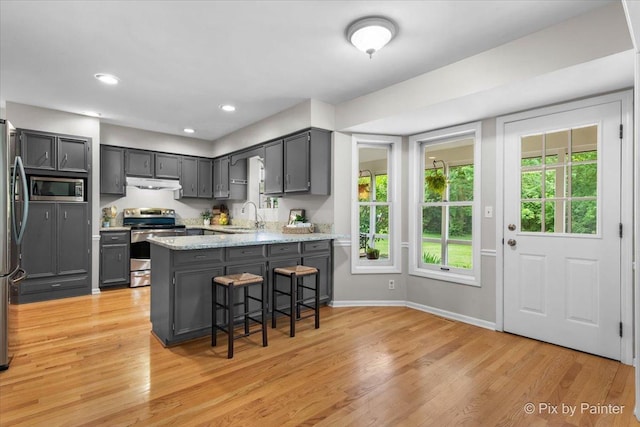 39W889 Deer Run Dr, Saint Charles, IL 60175 - kitchen featuring stainless steel appliances, a sink, a peninsula, under cabinet range hood, and light wood-type flooring