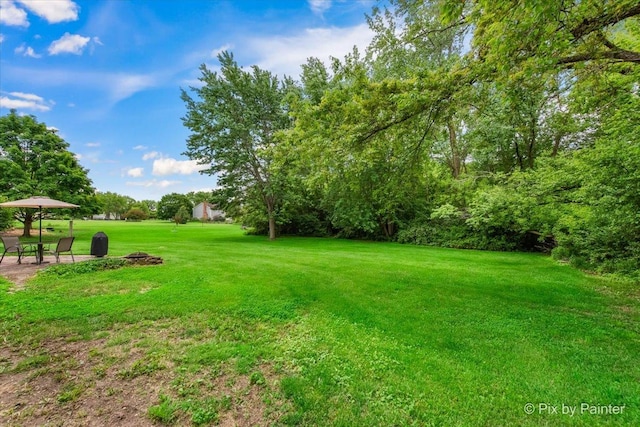 39W889 Deer Run Dr, Saint Charles, IL 60175 - view of grassy yard featuring a patio
