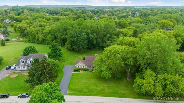 39W889 Deer Run Dr, Saint Charles, IL 60175 - view from above of property with a forest