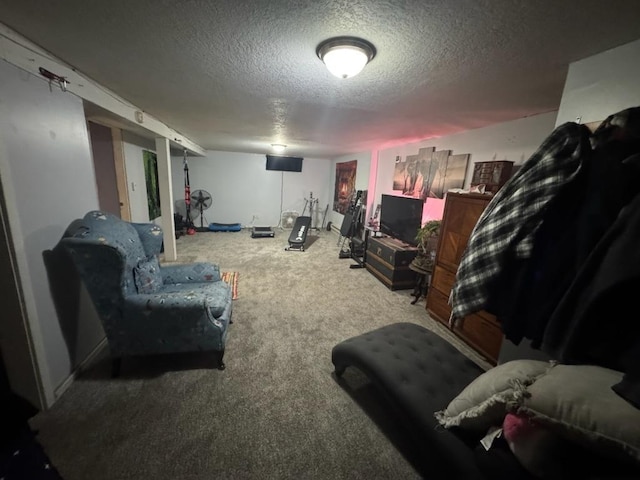 309 11th Ave, Sterling, IL 61081 - living area with carpet floors and a textured ceiling