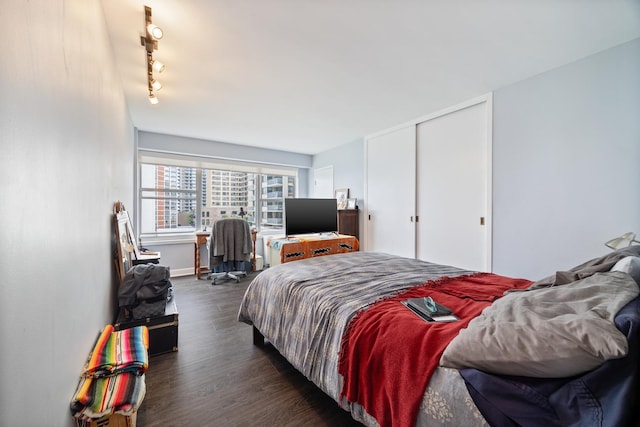 6157 N Sheridan Rd Unit 5G, Chicago, IL 60660 - bedroom featuring dark wood-type flooring, track lighting, baseboards, and a closet