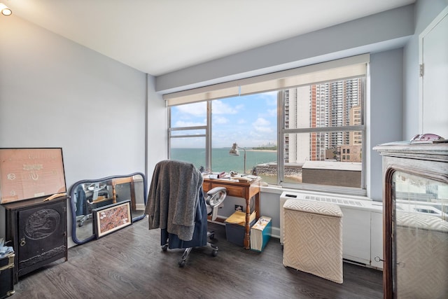 6157 N Sheridan Rd Unit 5G, Chicago, IL 60660 - home office featuring dark wood-style flooring and a water view