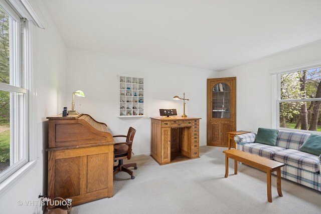 22585 N Ruth Ct, Kildeer, IL 60047 - office with light colored carpet