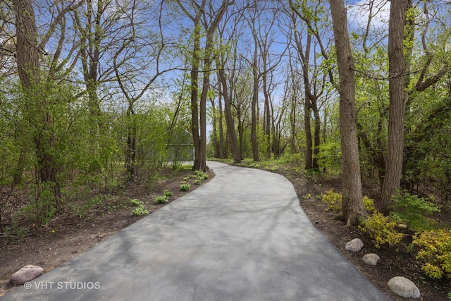 22585 N Ruth Ct, Kildeer, IL 60047 - view of home's community featuring a view of trees