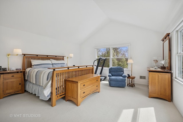 22585 N Ruth Ct, Kildeer, IL 60047 - bedroom with vaulted ceiling and light carpet