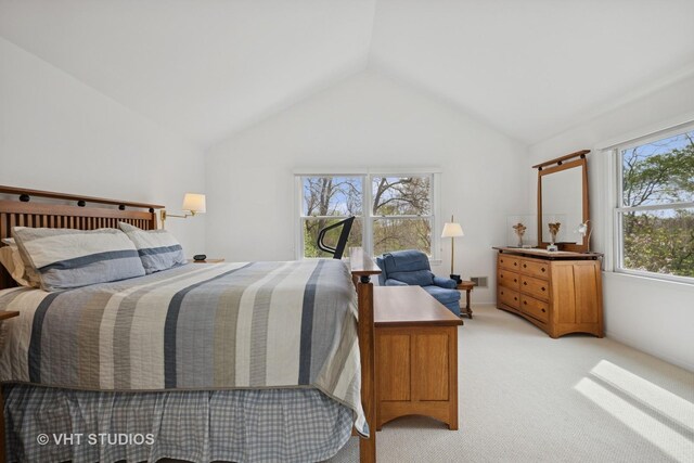 22585 N Ruth Ct, Kildeer, IL 60047 - bedroom with light colored carpet and lofted ceiling