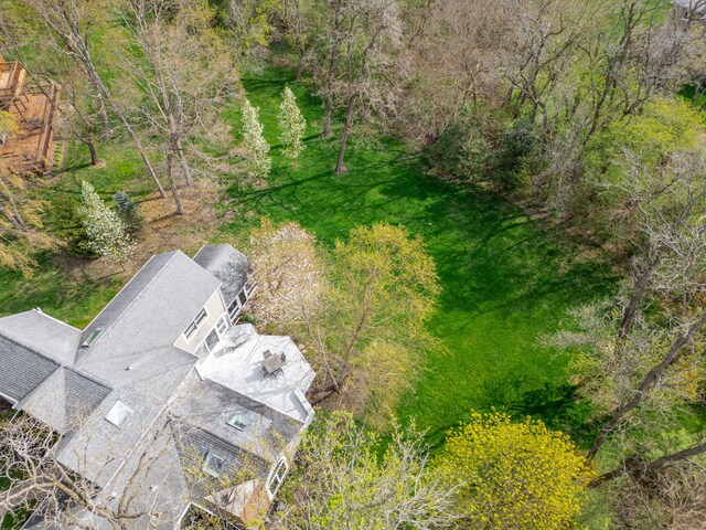 22585 N Ruth Ct, Kildeer, IL 60047 - view from above of property