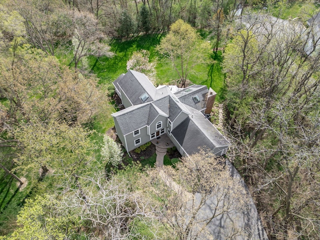 22585 N Ruth Ct, Kildeer, IL 60047 - view from above of property