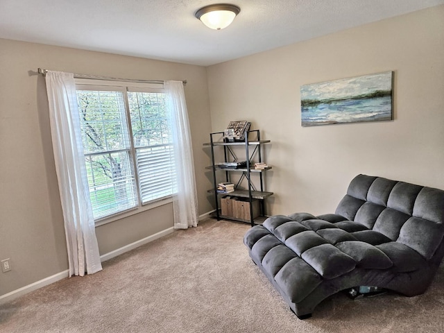 1409 Hull St, Normal, IL 61761 - sitting room featuring carpet flooring and baseboards