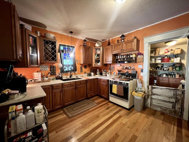 207 W 2nd St, Broadlands, IL 61816 - kitchen with white range with gas stovetop, light wood-style floors, glass insert cabinets, brown cabinetry, and decorative light fixtures