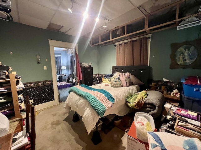207 W 2nd St, Broadlands, IL 61816 - view of carpeted bedroom