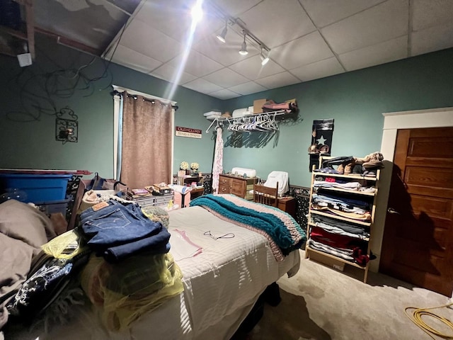 207 W 2nd St, Broadlands, IL 61816 - carpeted bedroom with track lighting