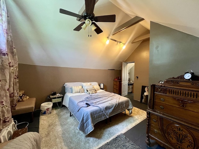 207 W 2nd St, Broadlands, IL 61816 - bedroom with lofted ceiling, track lighting, and a ceiling fan