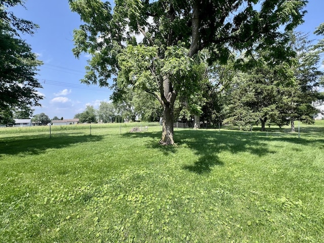 207 W 2nd St, Broadlands, IL 61816 - view of yard