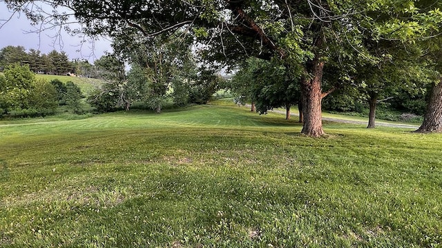 15501 Bishop Rd, Morrison, IL 61270 - view of grassy yard featuring view of scattered trees