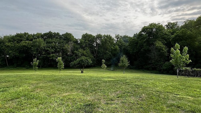 15501 Bishop Rd, Morrison, IL 61270 - view of yard