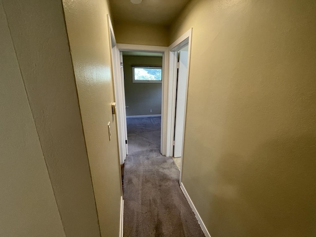 11 Shagbark Rd, Lake Bluff, IL 60044 - hall featuring carpet flooring and baseboards