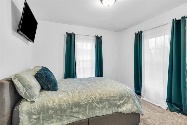 2225 County Road 1700 N, Saint Joseph, IL 61873 - view of carpeted bedroom
