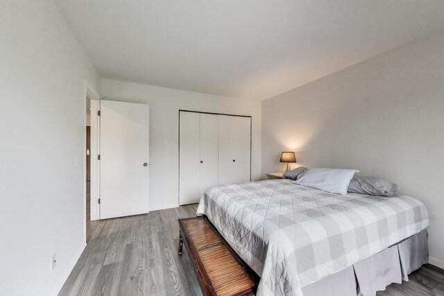 805 Leicester Rd Unit B105, Elk Grove Village, IL 60007 - bedroom with wood finished floors and a closet