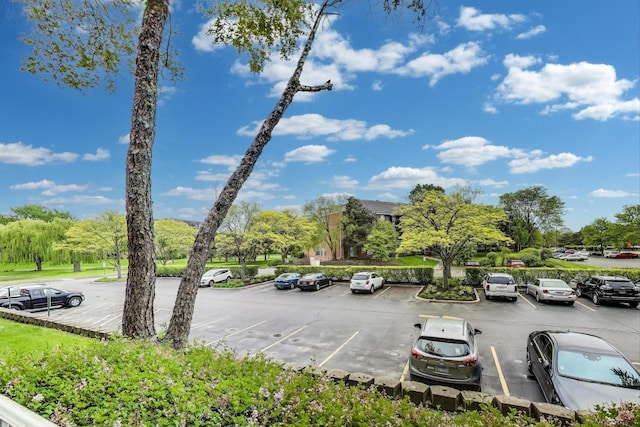 805 Leicester Rd Unit B105, Elk Grove Village, IL 60007 - view of uncovered parking lot