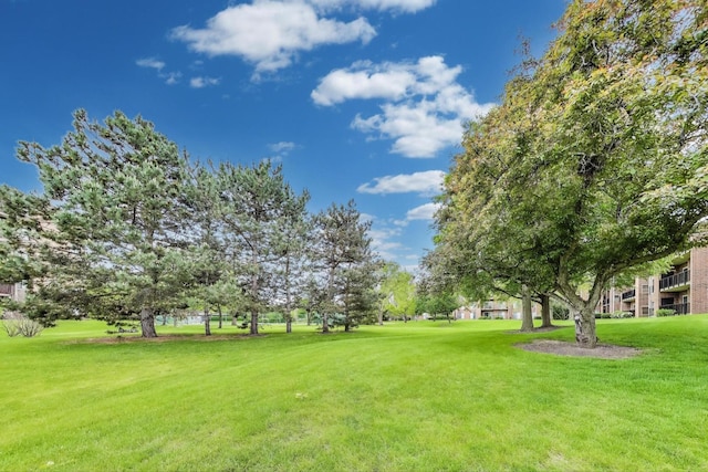 805 Leicester Rd Unit B105, Elk Grove Village, IL 60007 - view of grassy yard