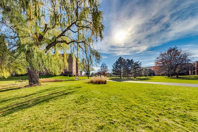 805 Leicester Rd Unit B105, Elk Grove Village, IL 60007 - view of grassy yard