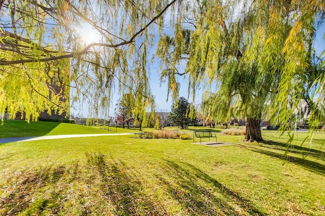 805 Leicester Rd Unit B105, Elk Grove Village, IL 60007 - view of property's community featuring a lawn