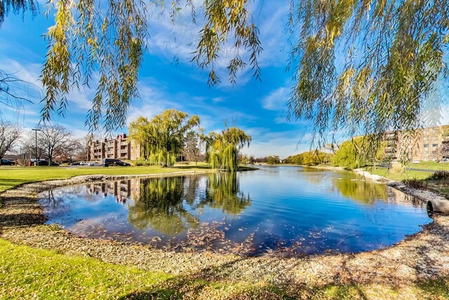 805 Leicester Rd Unit B105, Elk Grove Village, IL 60007 - water view