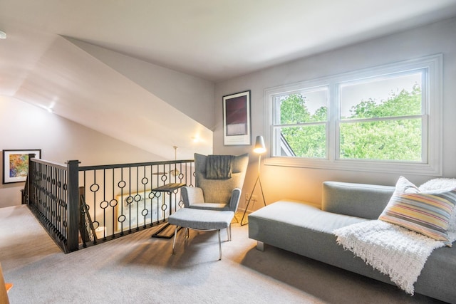 14613 Morningside Rd, Orland Park, IL 60462 - sitting room featuring carpet and vaulted ceiling