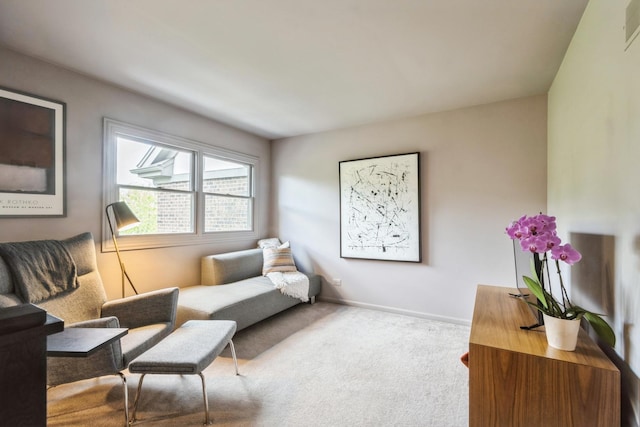 14613 Morningside Rd, Orland Park, IL 60462 - sitting room featuring carpet and baseboards