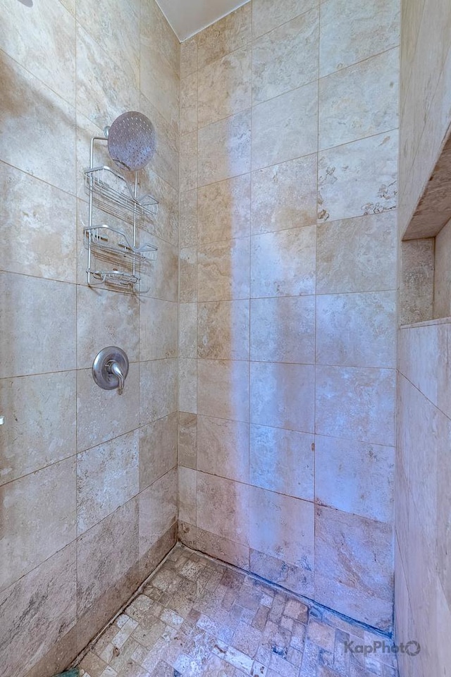 4137 S Prairie Ave Unit 3, Chicago, IL 60653 - bathroom featuring tiled shower
