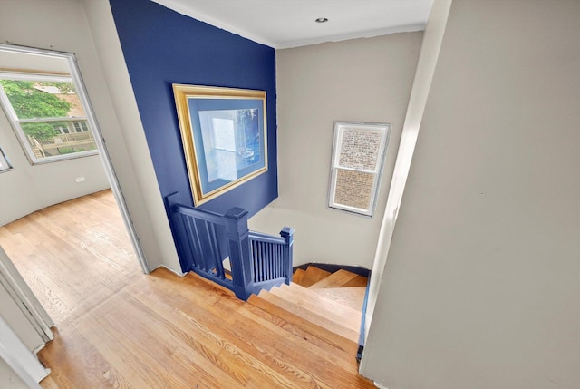 7809 S Peoria, Chicago, IL 60620 - stairs with wood finished floors and ornamental molding