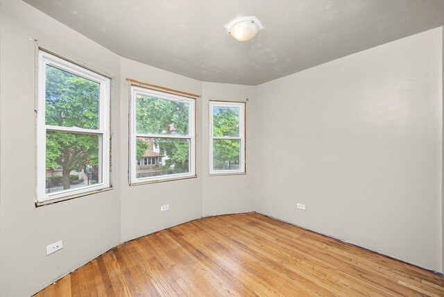 7809 S Peoria, Chicago, IL 60620 - spare room featuring light wood finished floors