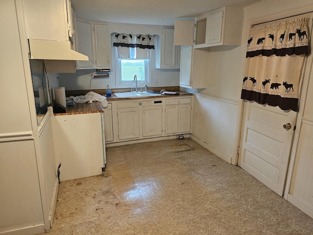 23018 Freeport Rd, Sterling, IL 61081 - kitchen featuring a sink, ventilation hood, wainscoting, and light floors